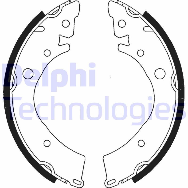 Remschoen set Delphi Diesel LS1341