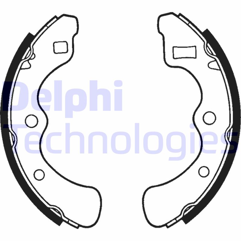 Remschoen set Delphi Diesel LS1351