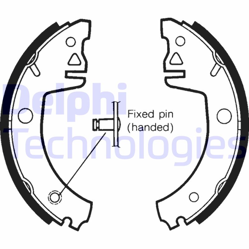 Remschoen set Delphi Diesel LS1438
