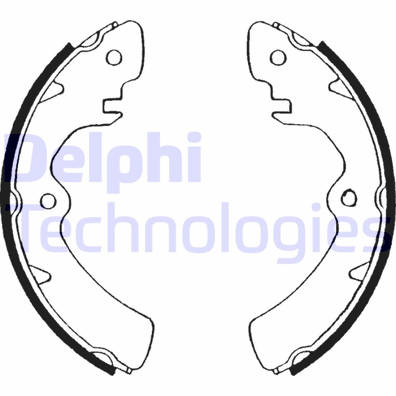Remschoen set Delphi Diesel LS1467
