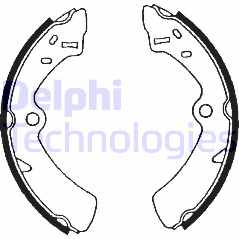 Remschoen set Delphi Diesel LS1576