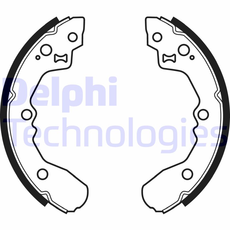 Remschoen set Delphi Diesel LS1932