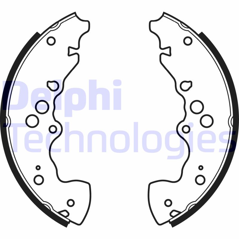 Remschoen set Delphi Diesel LS1955