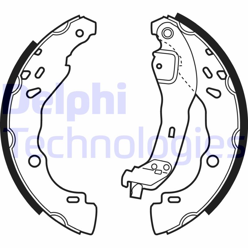 Remschoen set Delphi Diesel LS1968