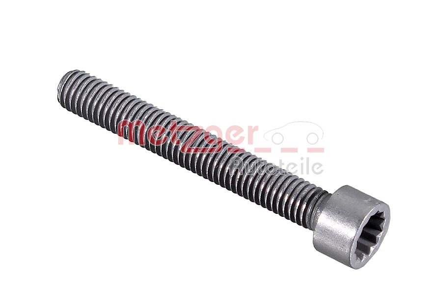 Schroef, inspuitstukhouder Metzger 0873058