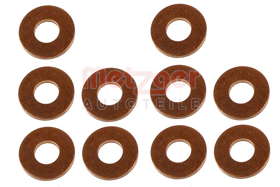 Brandplaatjes, injectiesysteem Metzger 0873077