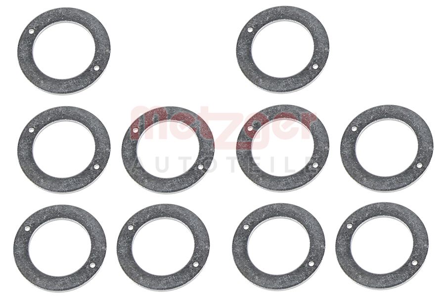 Brandplaatjes, injectiesysteem Metzger 0873078