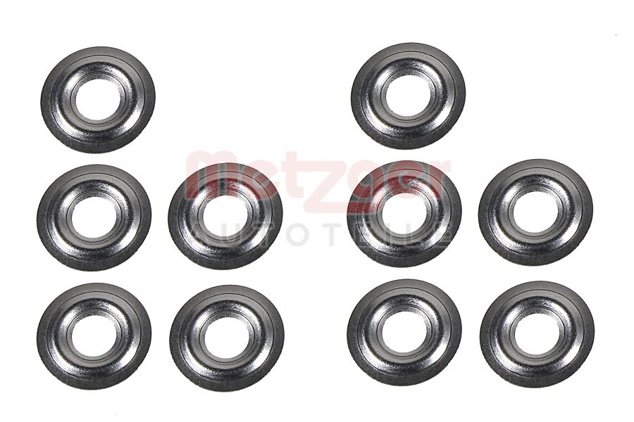 Brandplaatjes, injectiesysteem Metzger 0873079