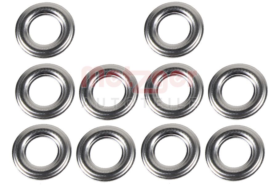 Brandplaatjes, injectiesysteem Metzger 0873081