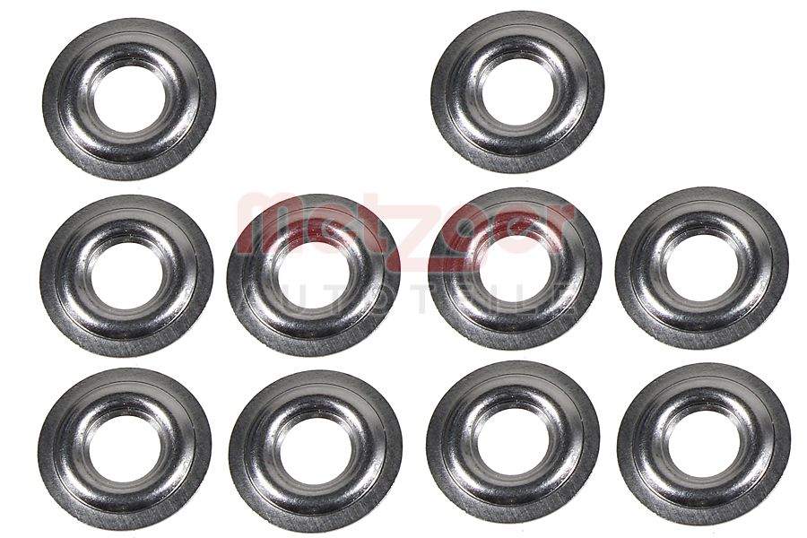 Brandplaatjes, injectiesysteem Metzger 0873083