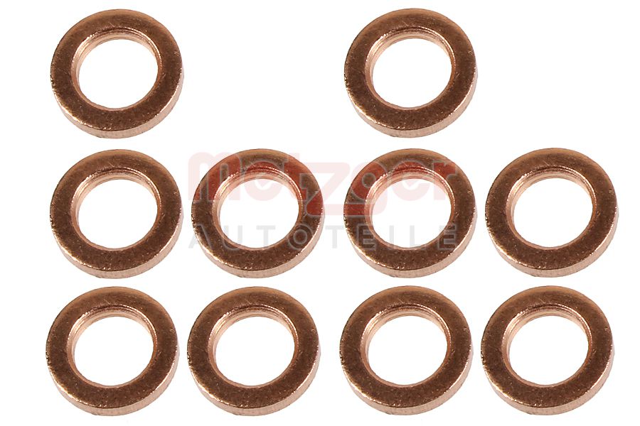 Brandplaatjes, injectiesysteem Metzger 0873084