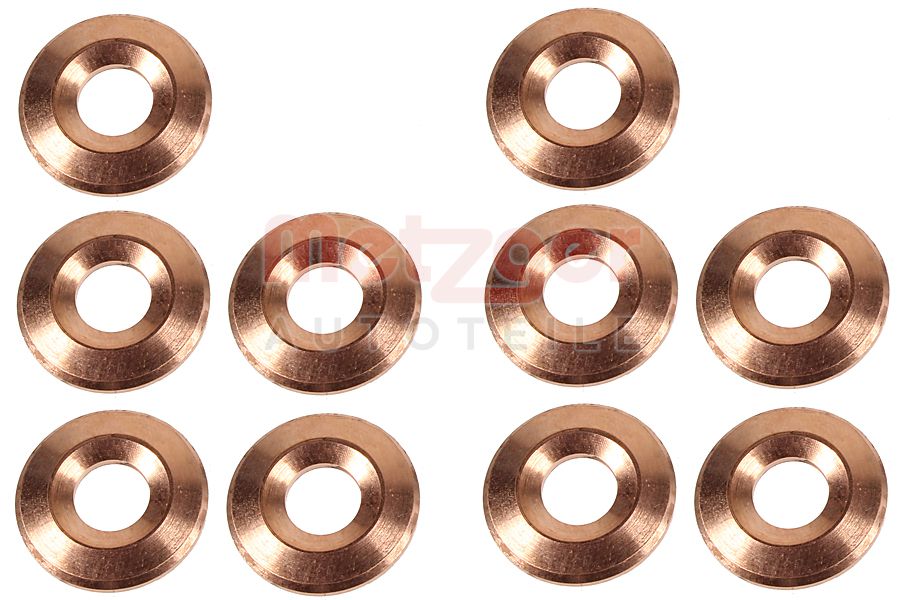 Brandplaatjes, injectiesysteem Metzger 0873090