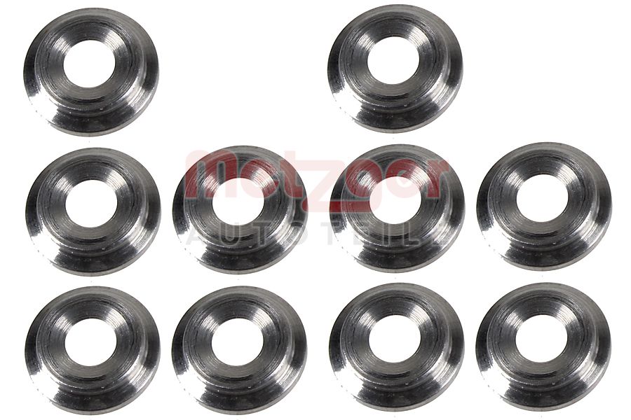 Brandplaatjes, injectiesysteem Metzger 0873091