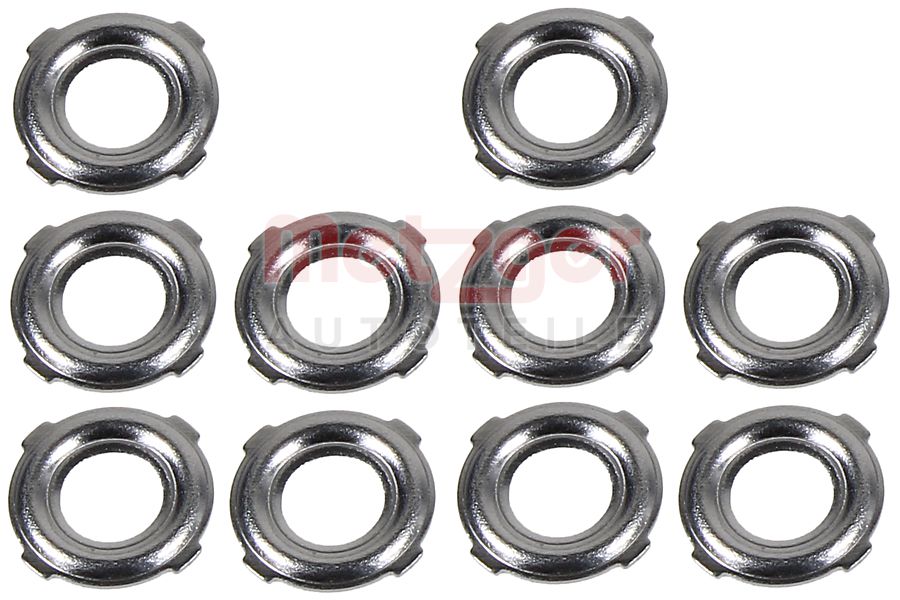 Brandplaatjes, injectiesysteem Metzger 0873092