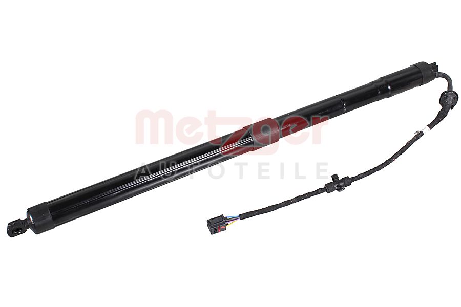 Elektromotor, achterklep Metzger 2115054