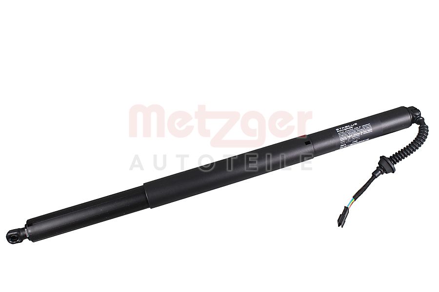 Elektromotor, achterklep Metzger 2115075
