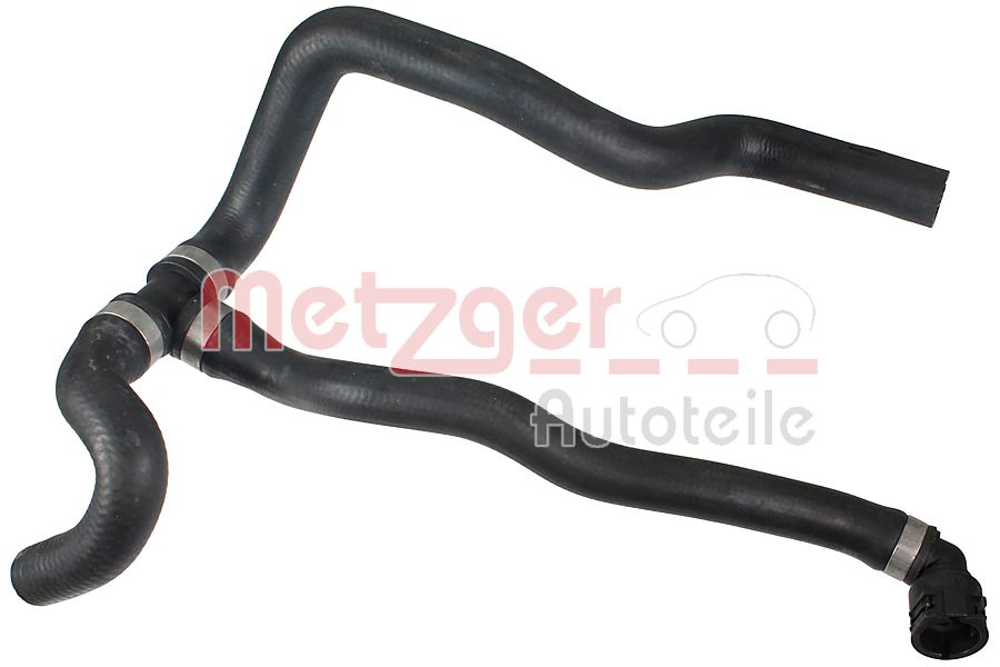 Slangen Metzger 2421792