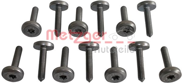 Afsluitschroef versnellingsbakbehuizing Metzger 8029025