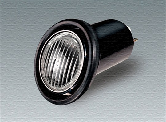 Knipperlicht Magneti Marelli 714018790705