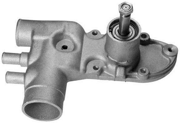Waterpomp Magneti Marelli 350981841000