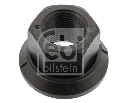 Wielbout/moer Febi Bilstein 04900