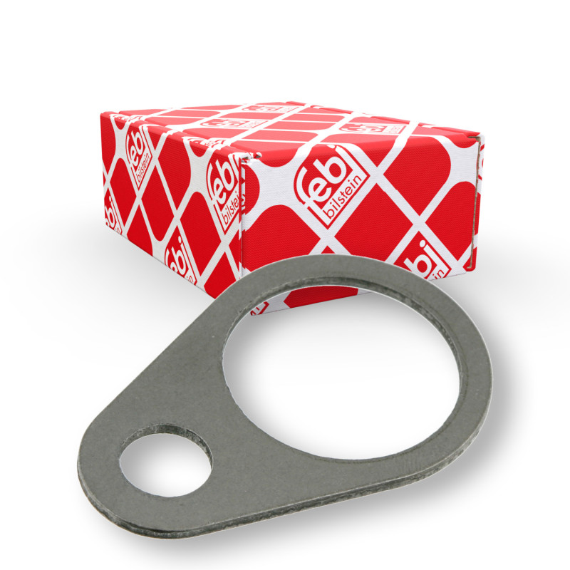 Steunplaat, remschoenpen Febi Bilstein 05450