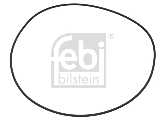 Wielnaaf afdichtring Febi Bilstein 100256