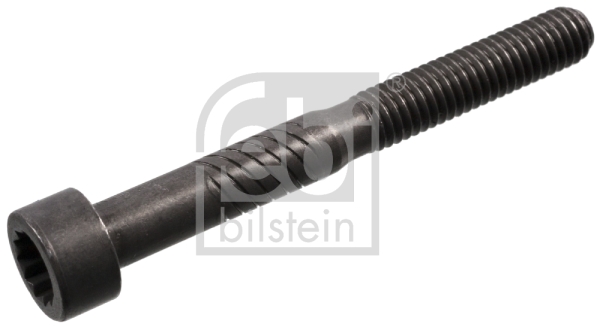 Schroef Febi Bilstein 100729