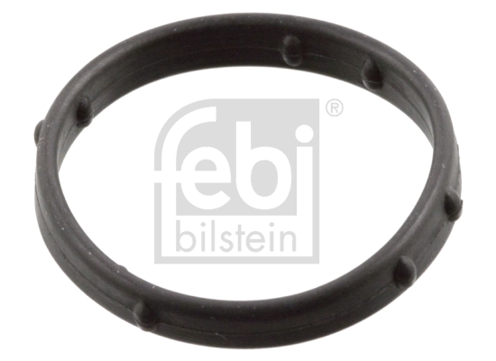 Kleppendekselpakking Febi Bilstein 101006