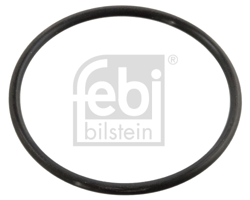 Thermostaat pakking Febi Bilstein 10258