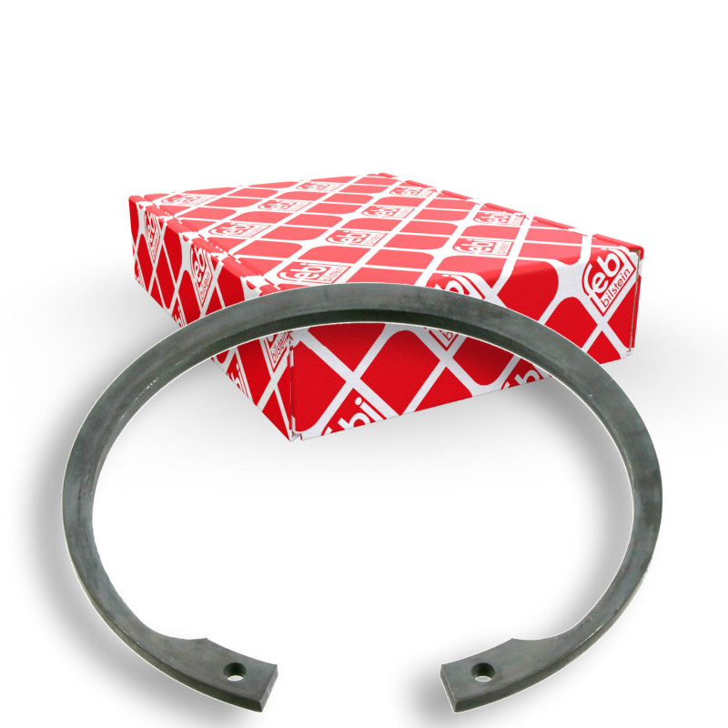 Borgring Febi Bilstein 10464