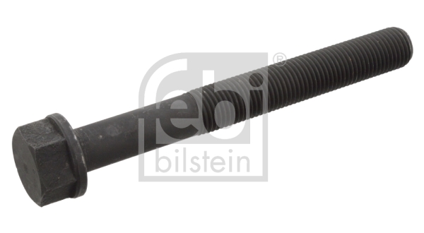 Schroef Febi Bilstein 10734