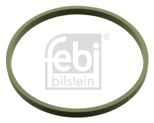 Inlaatspruitstukpakking Febi Bilstein 107960