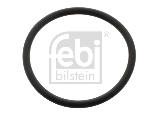 Dichtring fuseepen Febi Bilstein 11371