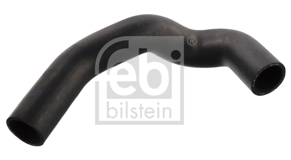 Radiateurslang Febi Bilstein 12095