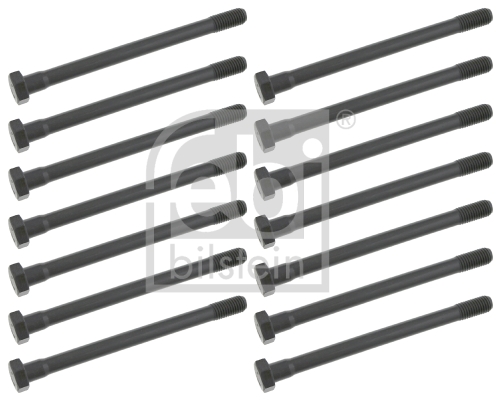 Cilinderkopboutenset Febi Bilstein 12609