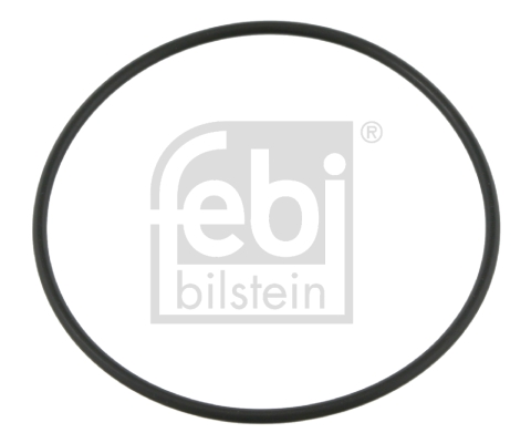 Dichtring fuseepen Febi Bilstein 14431