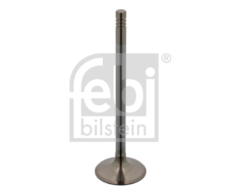 Inlaatklep Febi Bilstein 17388