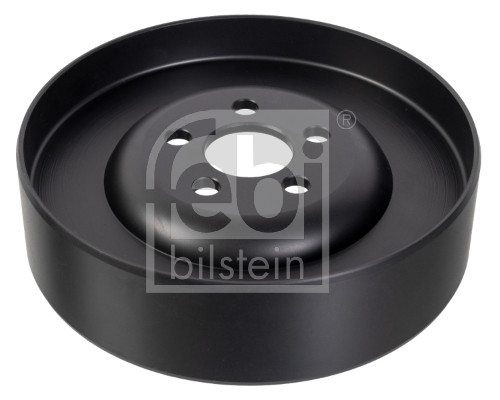 Dynamo poelie (Riemschijf) Febi Bilstein 179536