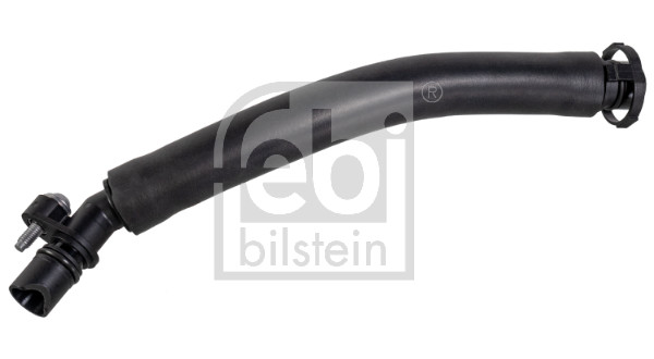 Carterontluchtingsslang Febi Bilstein 179744