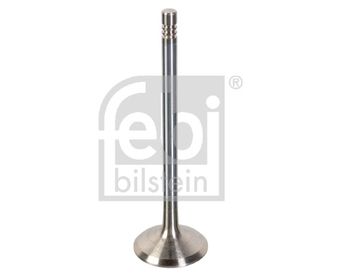 Inlaatklep Febi Bilstein 180481
