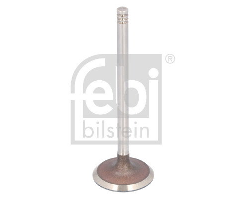 Inlaatklep Febi Bilstein 183492