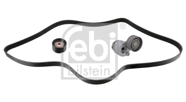 Poly V-riem set Febi Bilstein 184865