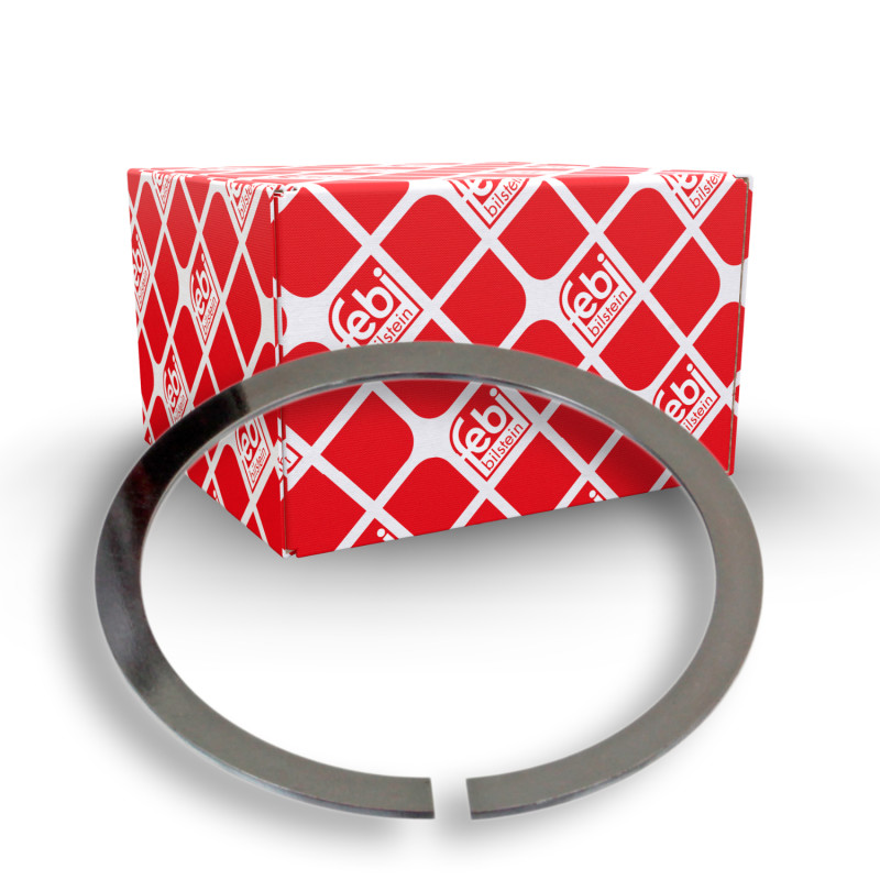 Borgring Febi Bilstein 18899