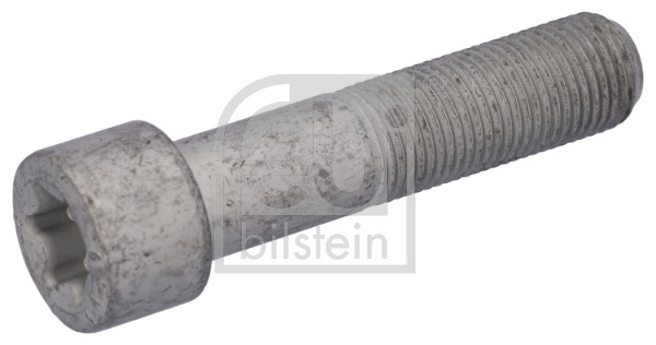 Schroef, remschijf Febi Bilstein 194272