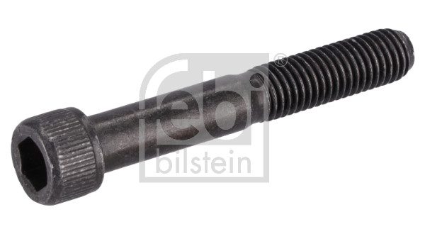 Schroef Febi Bilstein 199387