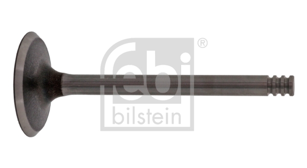 Inlaatklep Febi Bilstein 21020