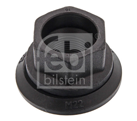 Wielbout/moer Febi Bilstein 24335