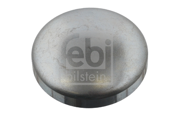 Vriesstop/vorstplug Febi Bilstein 31794