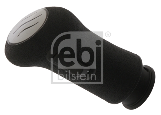 Pookknoppen  Febi Bilstein 43655